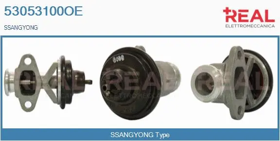 EGR Valve (53053100OE)