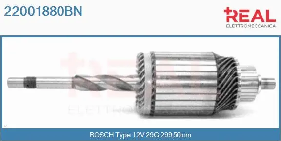 Armature, starter (22001880BN)