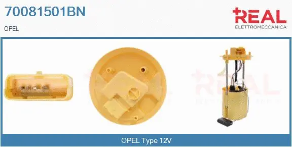 Fuel Feed Unit (70081501BN)