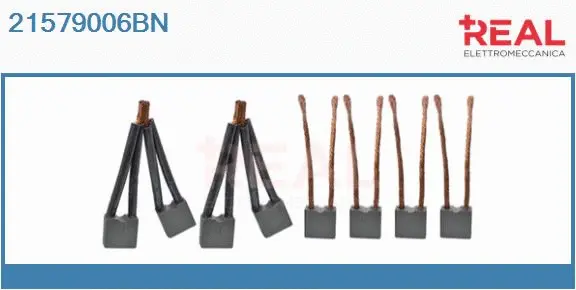 Carbon Brush, starter (21579006BN)