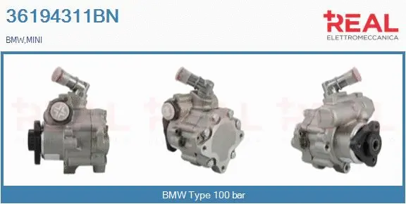 Hydraulic Pump, steering (36194311BN)