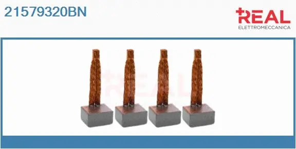 Carbon Brush, starter (21579320BN)