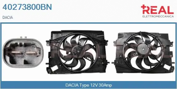 Electric Motor, radiator fan (40273800BN)