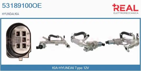 EGR Module (53189100OE)