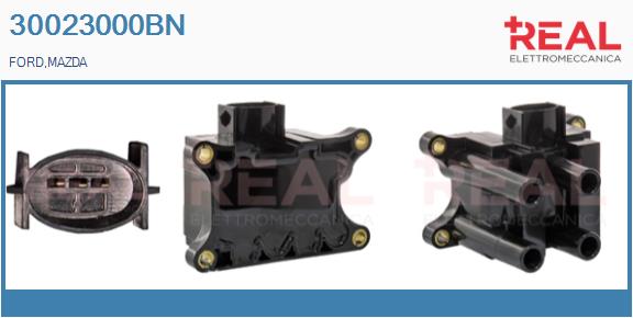 Ignition Coil (30023000BN)