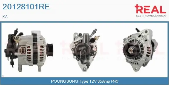 Alternator (20128101RE)