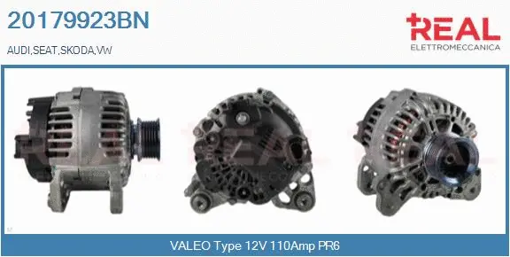 Alternator (20179923BN)