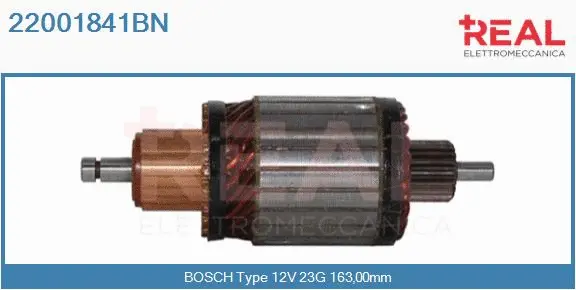 Armature, starter (22001841BN)