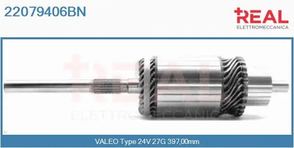 Armature, starter (22079406BN)