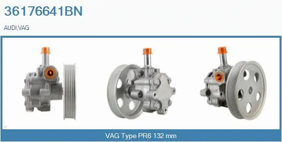 Hydraulic Pump, steering (36176641BN)