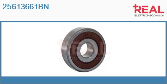 Bearing (25613661BN)