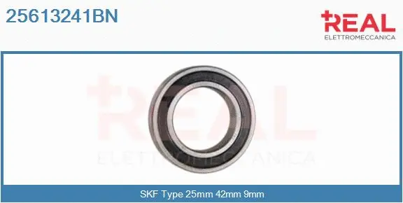 Bearing (25613241BN)