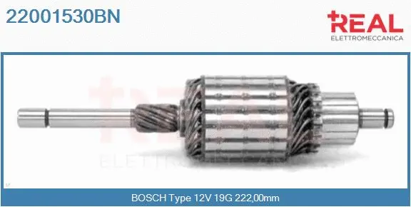 Armature, starter (22001530BN)