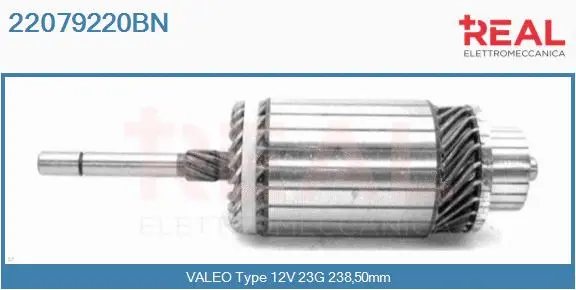 Armature, starter (22079220BN)