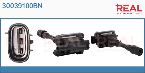 Ignition Coil (30039100BN)