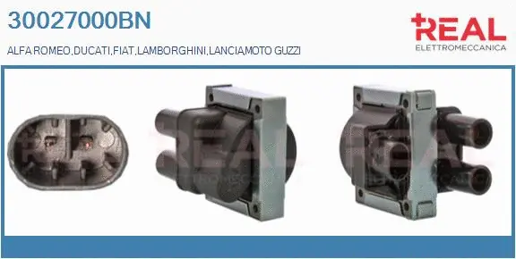 Ignition Coil (30027000BN)