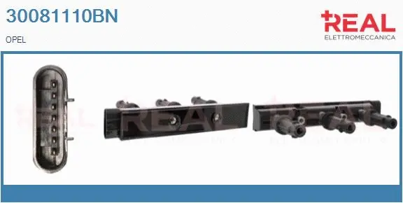 Ignition Coil (30081110BN)