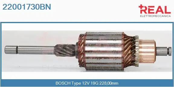 Armature, starter (22001730BN)