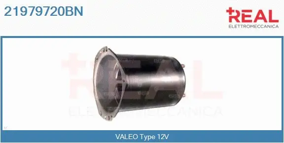 Field Winding, starter (21979720BN)