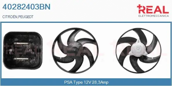 Electric Motor, radiator fan (40282403BN)