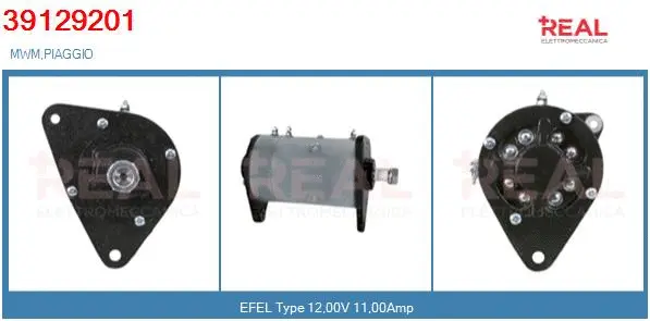 Alternator, starter (39129201BN)