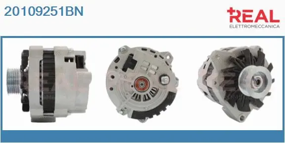 Alternator (20109251BN)