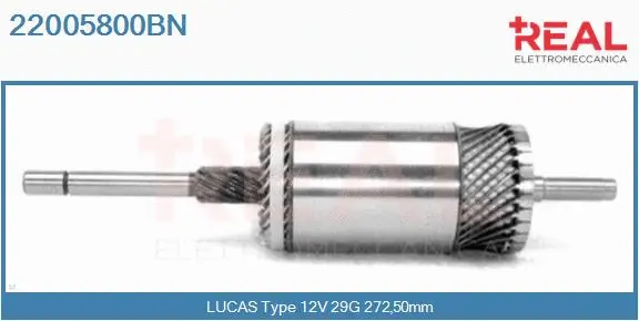 Armature, starter (22005800BN)