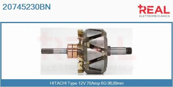 Rotor, alternator (20745230BN)