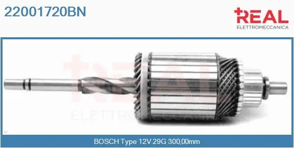 Armature, starter (22001720BN)