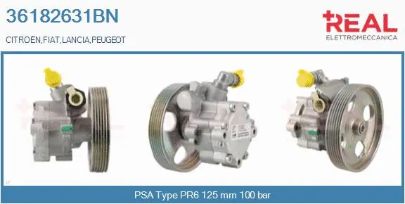 Hydraulic Pump, steering (36182631BN)