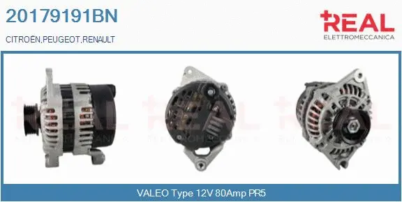 Alternator (20179191BN)