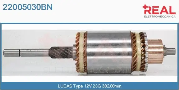 Armature, starter (22005030BN)