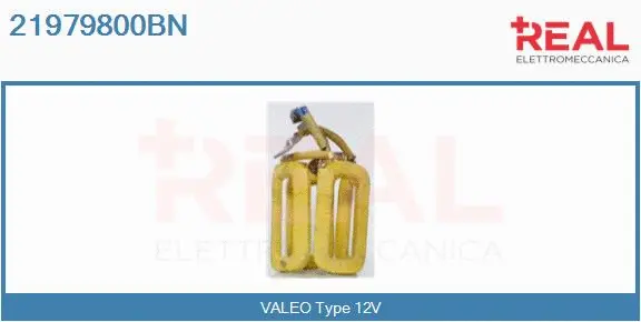 Field Winding, starter (21979800BN)