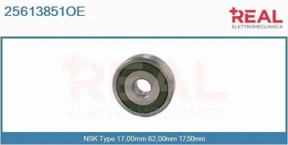 Bearing (25613851OE)