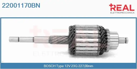 Armature, starter (22001170BN)