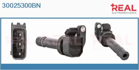 Ignition Coil (30025300BN)