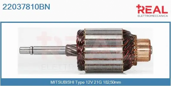 Armature, starter (22037810BN)