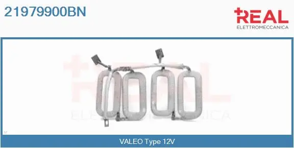 Field Winding, starter (21979900BN)