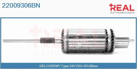 Armature, starter (22009306BN)