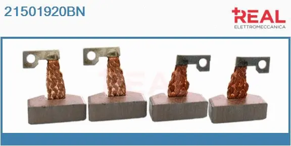 Carbon Brush, starter (21501920BN)