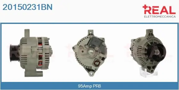 Alternator (20150231BN)