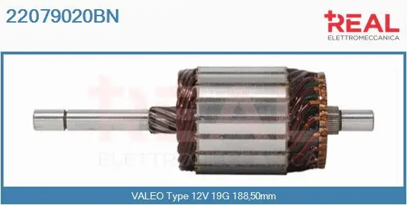 Armature, starter (22079020BN)