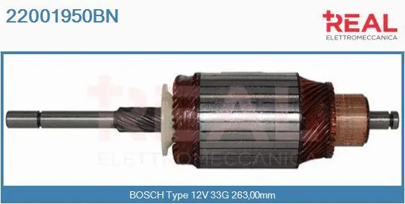 Armature, starter (22001950BN)