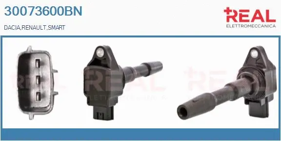 Ignition Coil (30073600BN)