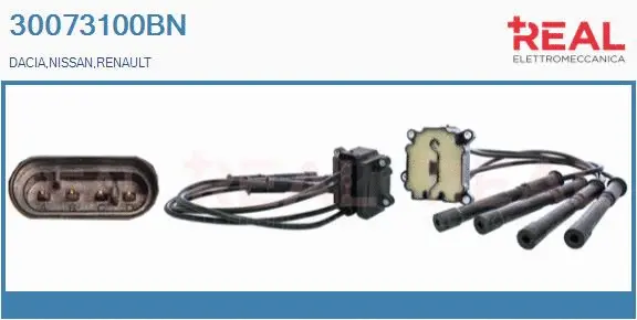 Ignition Coil (30073100BN)