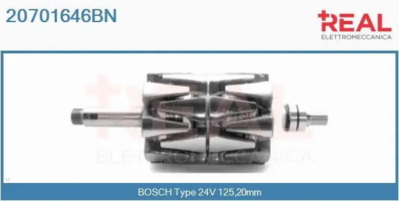 Rotor, alternator (20701646BN)