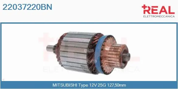 Armature, starter (22037220BN)