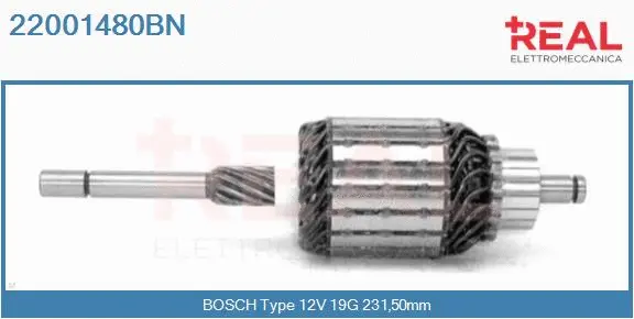 Armature, starter (22001480BN)