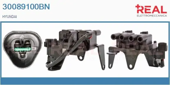 Ignition Coil (30089100BN)