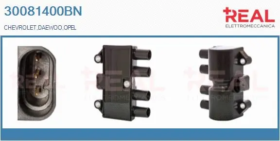 Ignition Coil (30081400BN)
